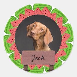 Sticker Rond pastèque Noël Fête du Chien Personnalisé Photo