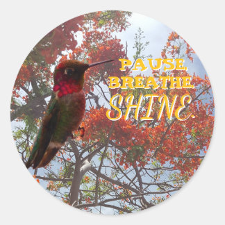 Sticker Rond PAUSEZ. RESPIREZ. BRILLEZ. Colibri