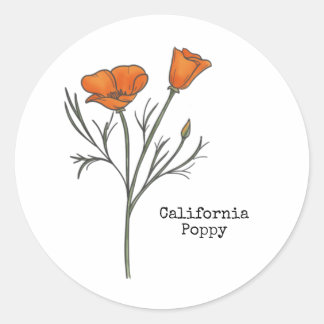 Sticker Rond Pavot de Californie
