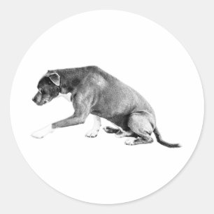 Sticker Rond Pawshake découpé - Mélange Pitbull