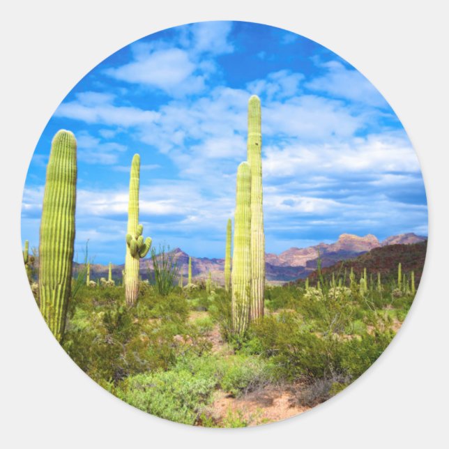 Sticker Rond Paysage de cactus du désert, Arizona (Devant)