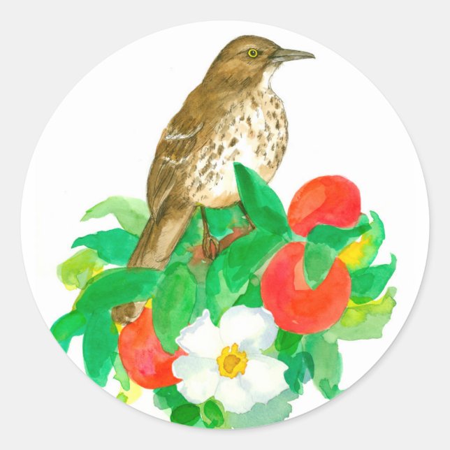 Sticker Rond Peaches Cherokee Roses Blanches Aquarelle (Devant)