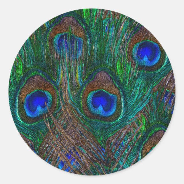 Sticker Rond Peacock Coloré Plumes Etching Style (Devant)