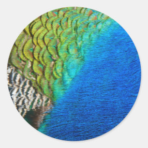 Sticker Rond Peacock Feathers IV Colorful Abstrait Nature