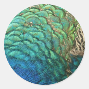 Sticker Rond Peacock Plumes I Colorful Abstrait Nature Design