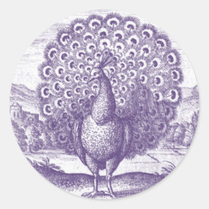 Sticker Rond Peacock, une gravure vintage