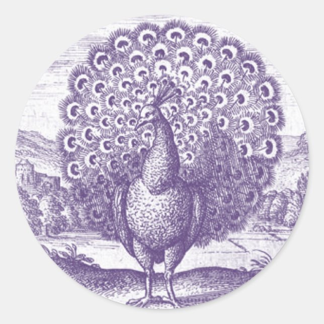 Sticker Rond Peacock, une gravure vintage (Devant)