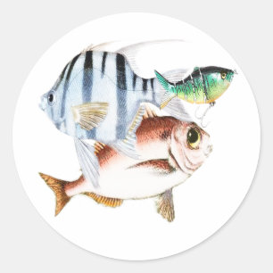 Sticker Rond Pêche