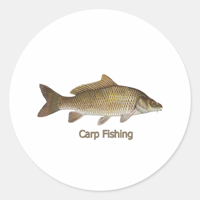 Sticker Rond Pêche à la carpe (Devant)
