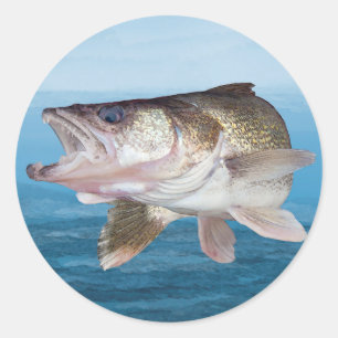 Sticker Rond Pêche au walleye