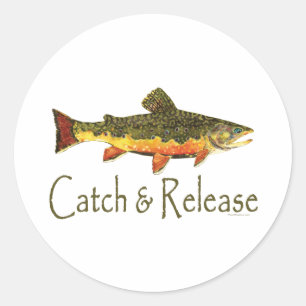 Sticker Rond Pêche aux poissons