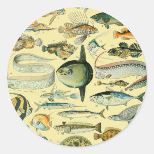 Sticker Rond Pêche scientifique vintage