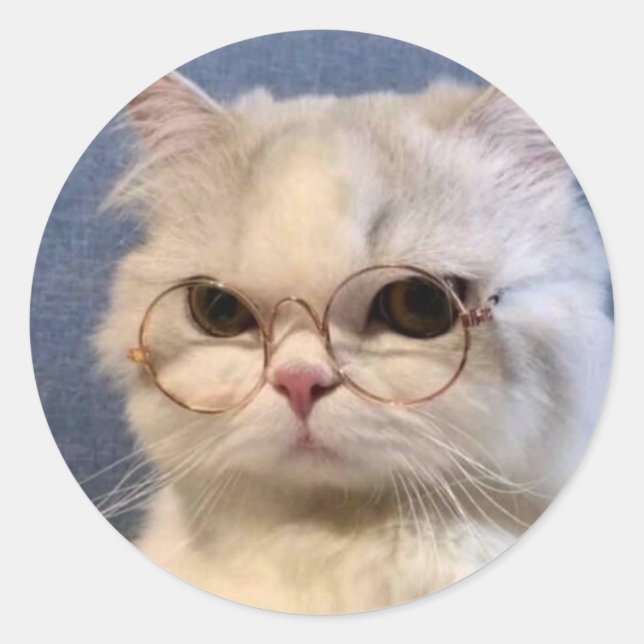 Sticker Rond Pegatina de gato (Devant)