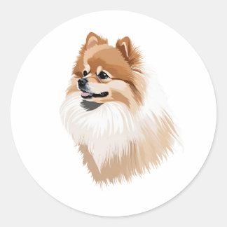 Sticker Rond Pegatina perro Pomeranian