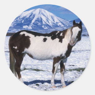 Sticker Rond Peignez le cheval se tenant dans la neige