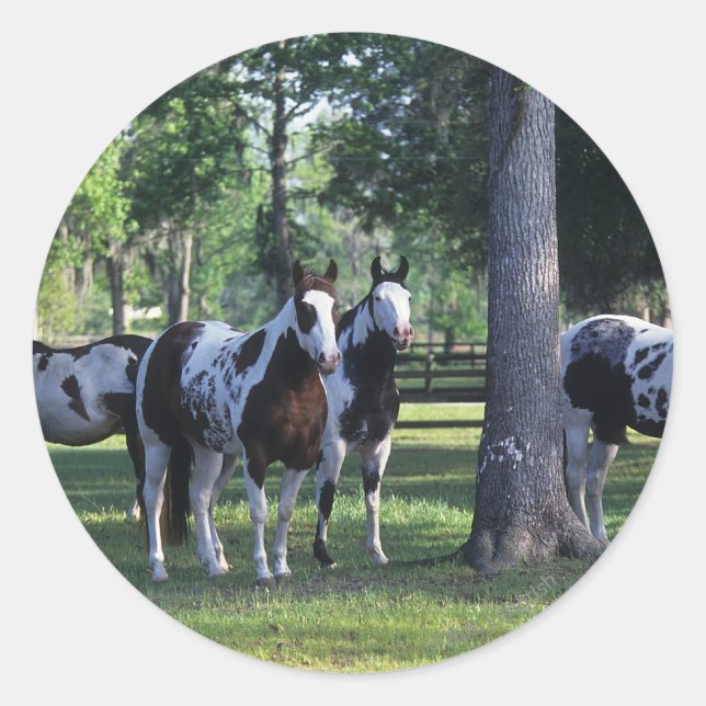 Sticker Rond Peindre les chevaux dans les arbres (Devant)