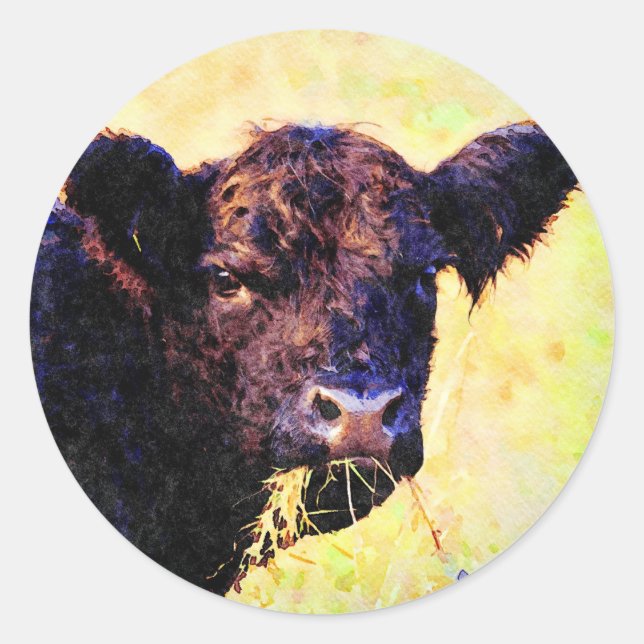 Sticker Rond Peinture à l'aquarelle de la vache Beltie Galloway (Devant)