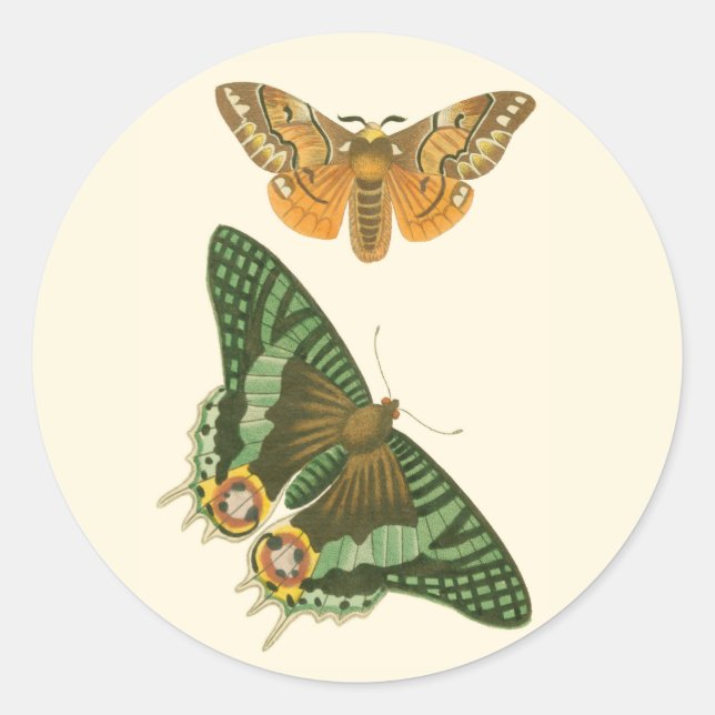 Sticker Rond Peinture à papillon légèrement frontière (Devant)