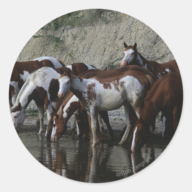 Sticker Rond Peinture Chevaux Boire (Devant)