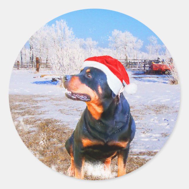 Sticker Rond Peinture de Noël de chien Rottweiler (Devant)