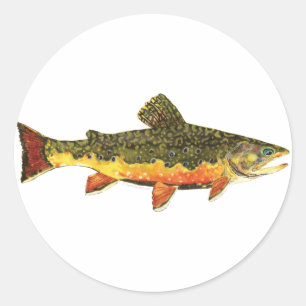 Sticker Rond Peinture de poissons de truite broyée