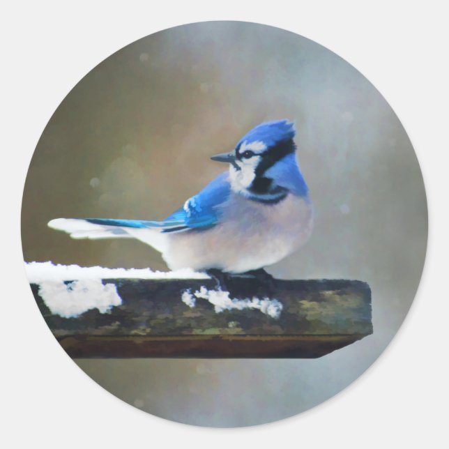 Sticker Rond Peinture Jay Bleu - Art Oiseau Original (Devant)