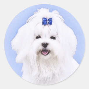 Sticker Rond Peinture maltaise - Joli art original pour chien