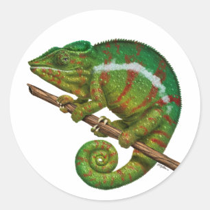 Sticker Rond Peinture numérique Panther Chameleon