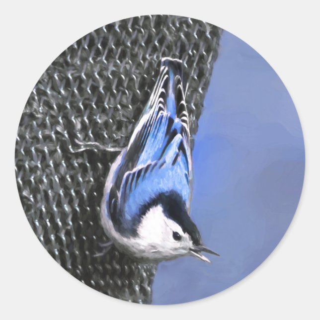 Sticker Rond Peinture Nuthatch à poitrine blanche Art original (Devant)
