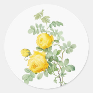 Sticker Rond Peinture originale aquarelle jardin fleurs roses