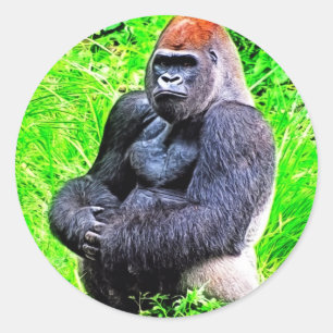 Sticker Rond Peinture photo de Gorilla Silverback