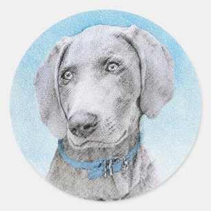 Sticker Rond Peinture Weimaraner - Joli art original chien
