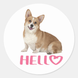Sticker Rond Pembroke Welsh Corgi Bonjour Chien Chien Chien Chi