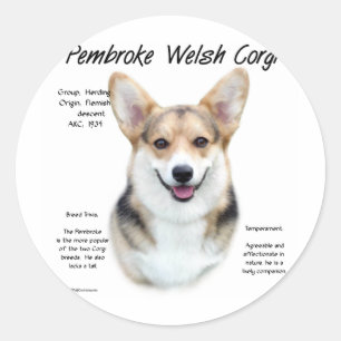 Sticker Rond Pembroke Welsh Corgi Conception de l'histoire