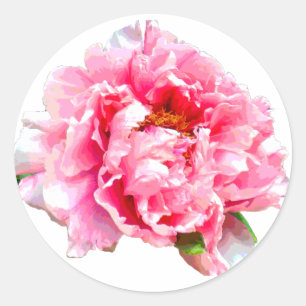 STICKER ROND PEONY ROSE