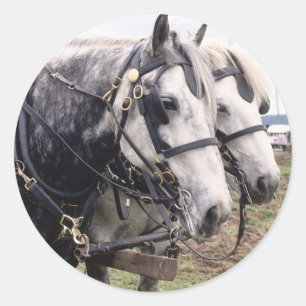 Sticker Rond Percheron Tandem