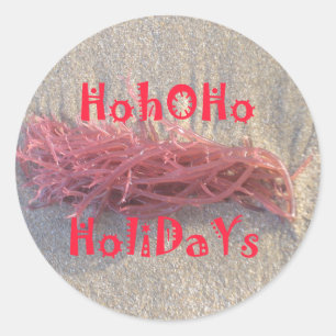 Sticker Rond Père Noël HoHoHo Joyeux Noël des couleurs de la pl