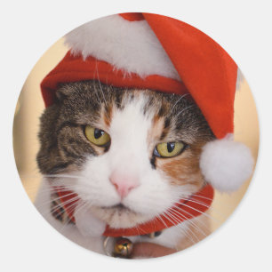 Sticker Rond Père Noël Kitty Noël Pookie le chat