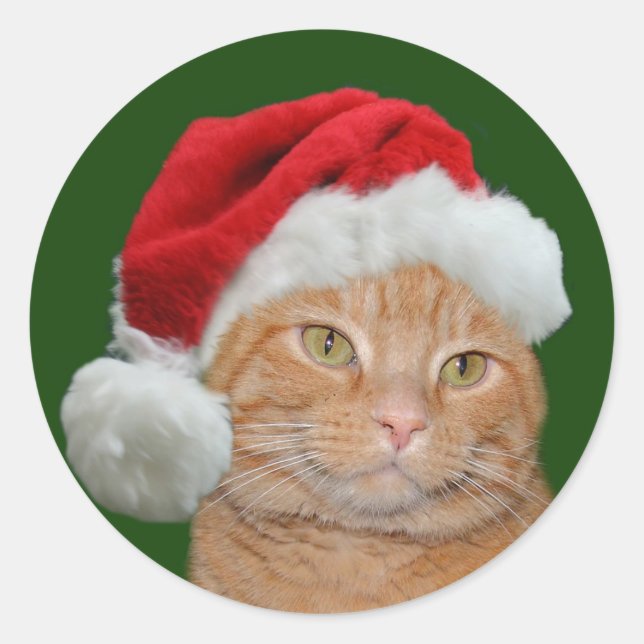 Sticker Rond Père Noël Paws (Devant)