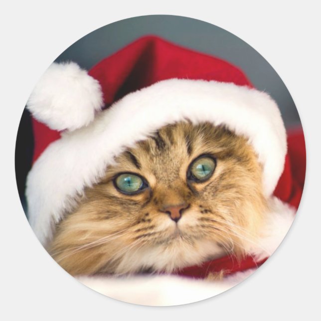 Sticker rond père Noël Tabby Cat (Devant)