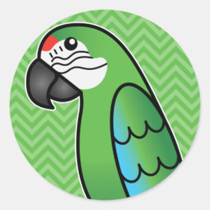 Sticker Rond Perroquet Ara Militaire de Dessin Animé