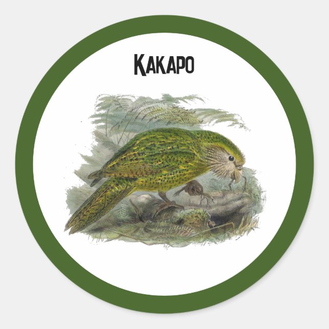 Sticker Rond Perroquet de Chouette verte Kakapo, Illustration d (Devant)