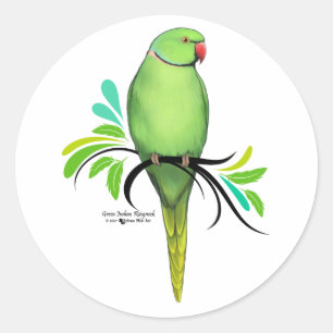 Sticker Rond Perroquet indien vert