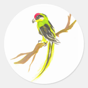 Sticker Rond Perroquet sur une branche. Peinture d'aquarelle.
