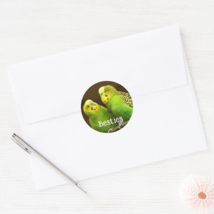 Sticker Rond Perroquets verts et jaunes Besties