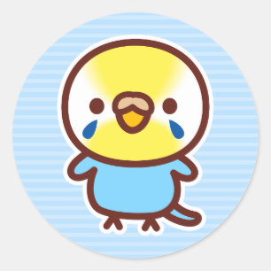 Sticker Rond Perruche ondulée / Femelle arc-en-ciel pastel
