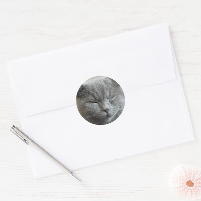 Sticker Rond Personnalisé Cute Grey kitty Chat Photo (Enveloppe)