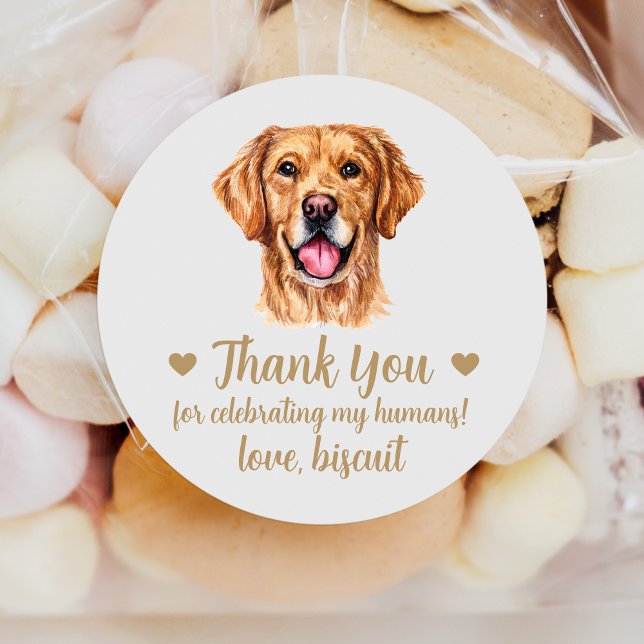 Sticker Rond Personnalisé Golden Retriever Chien Mariage Favori (Créateur téléchargé)