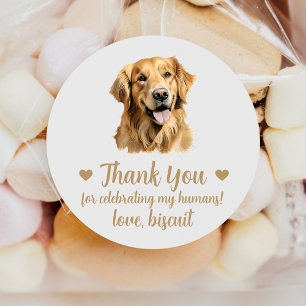 Sticker Rond Personnalisé Golden Retriever Chien Mariage Favori