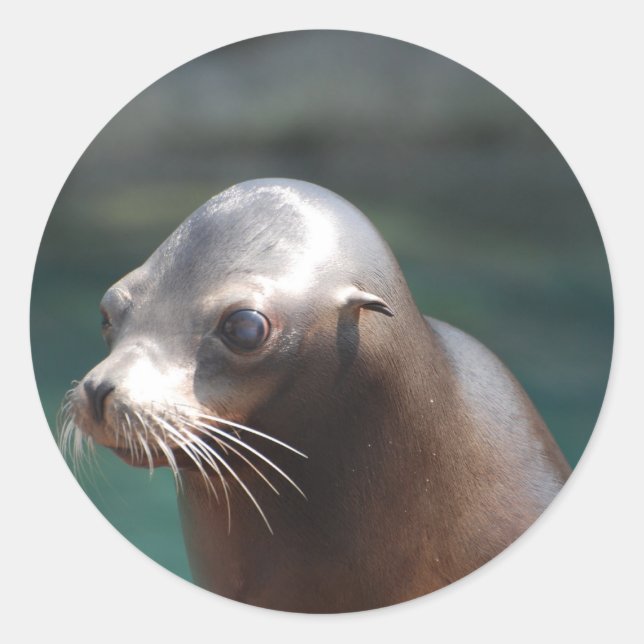 Sticker Rond Personnaliser (Devant)